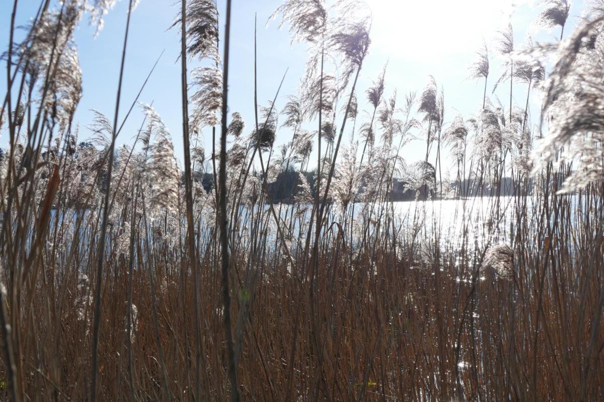 Landhaus Am See App. 2 Ponitz am See ภายนอก รูปภาพ