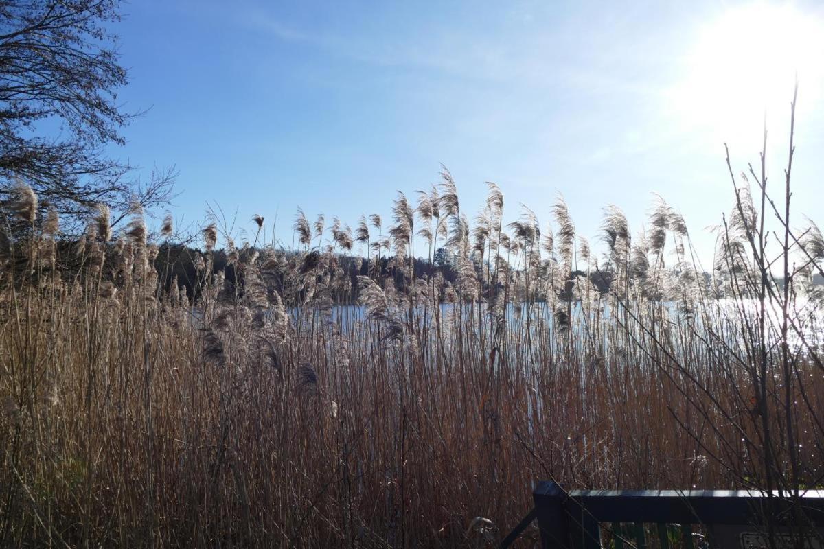 Landhaus Am See App. 2 Ponitz am See ภายนอก รูปภาพ