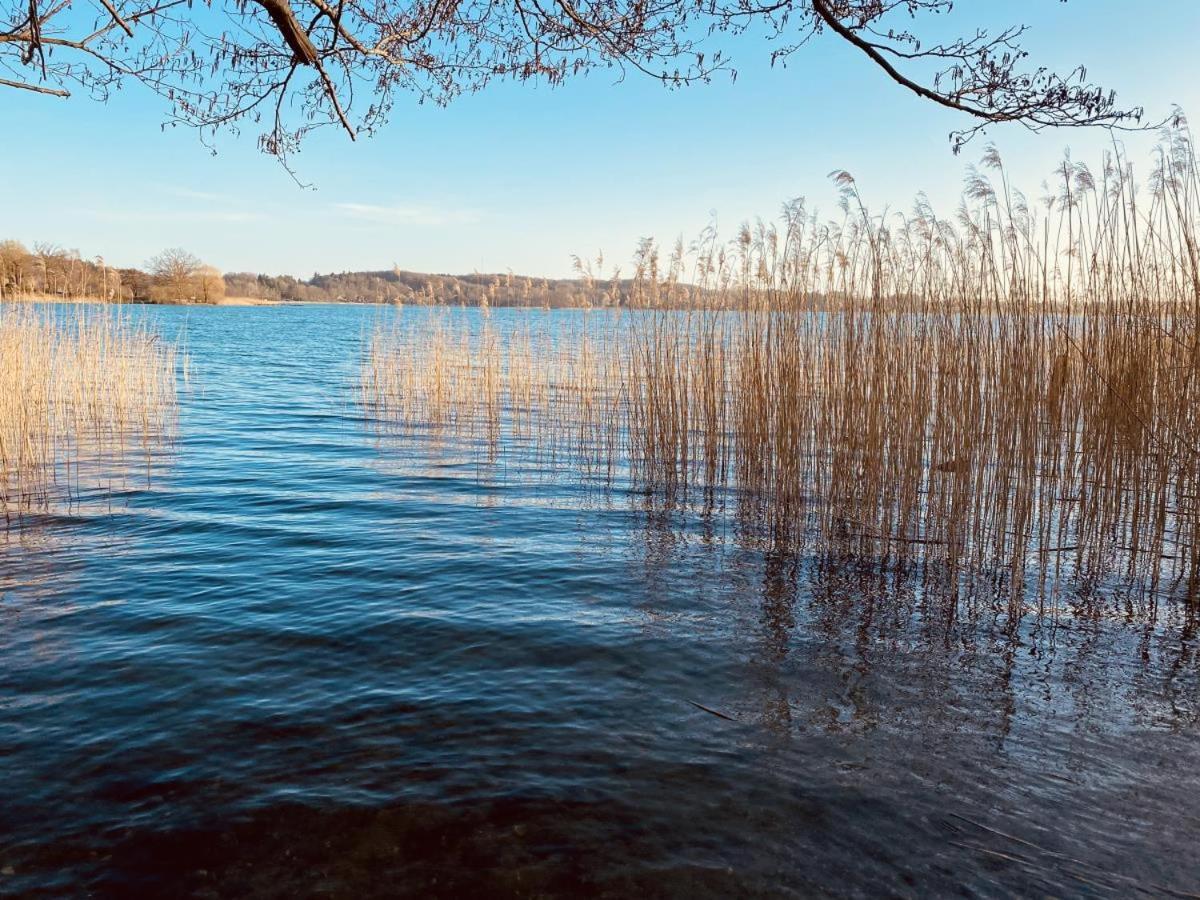 Landhaus Am See App. 2 Ponitz am See ภายนอก รูปภาพ